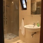 kabina prysznicowa i duże lustro w łazience